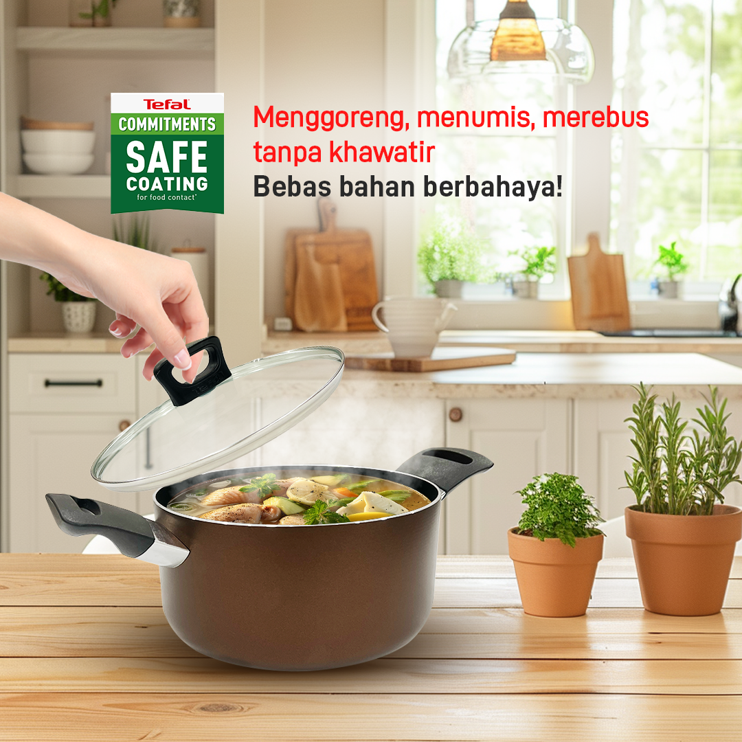Day by Day Stewpot 20cm + Lid / Panci Anti Lengket