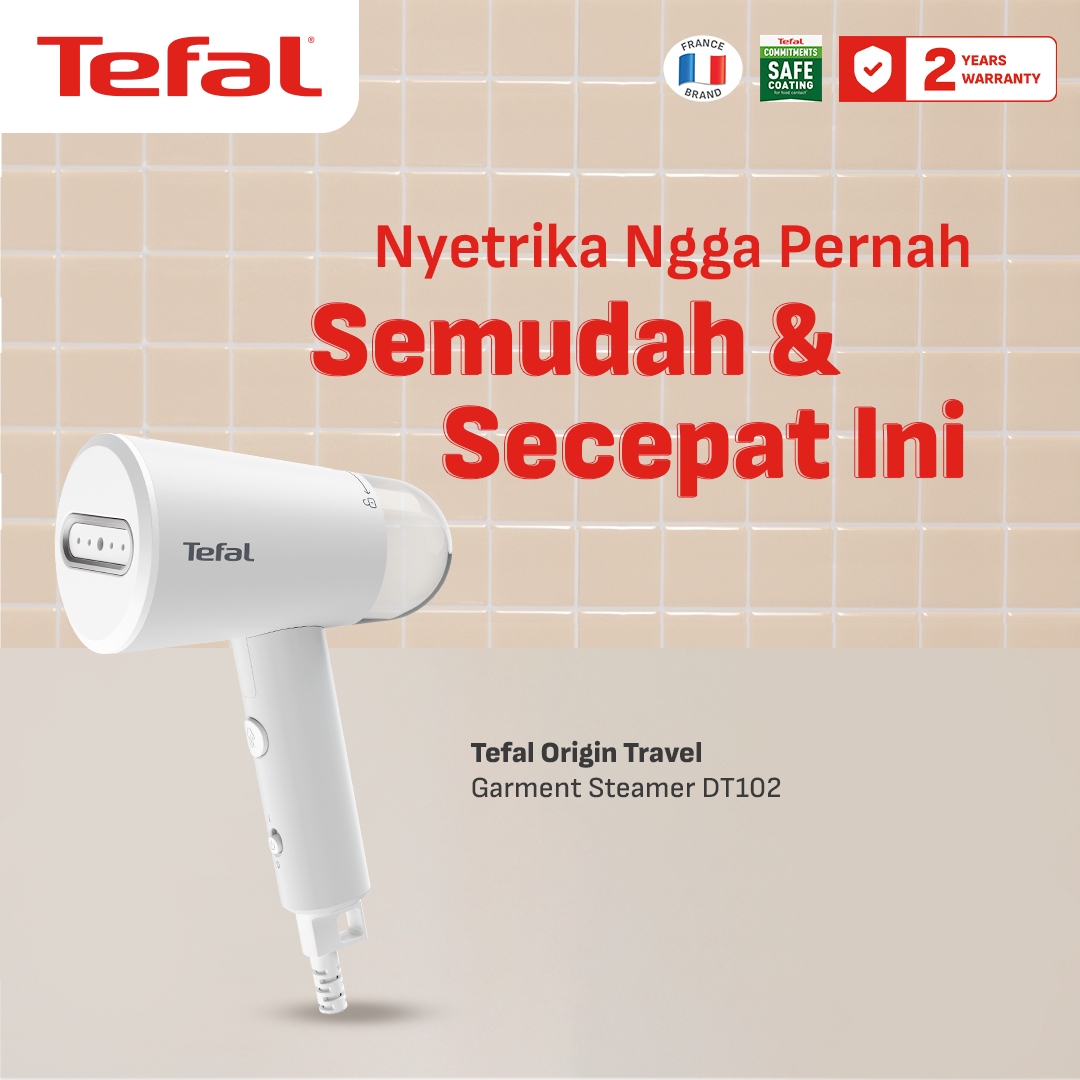 Setrika Uap Portable Garment Steamer DT102 / Cepat Panas & Ultra Compact