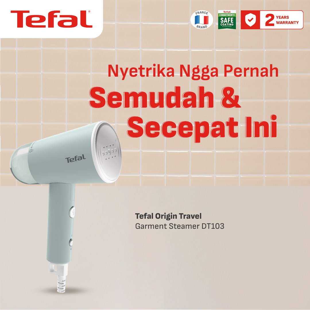 Setrika Uap Portable Garment Steamer DT103 / Cepat Panas & Ultra Compact