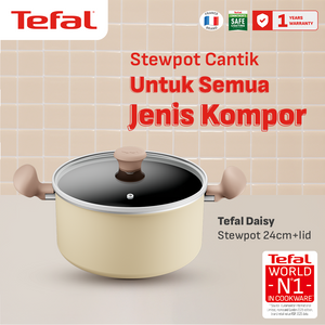 Tefal Wajan Panci Penggorengan Anti Lengket / Daisy Series Stewpot 24cm+lid
