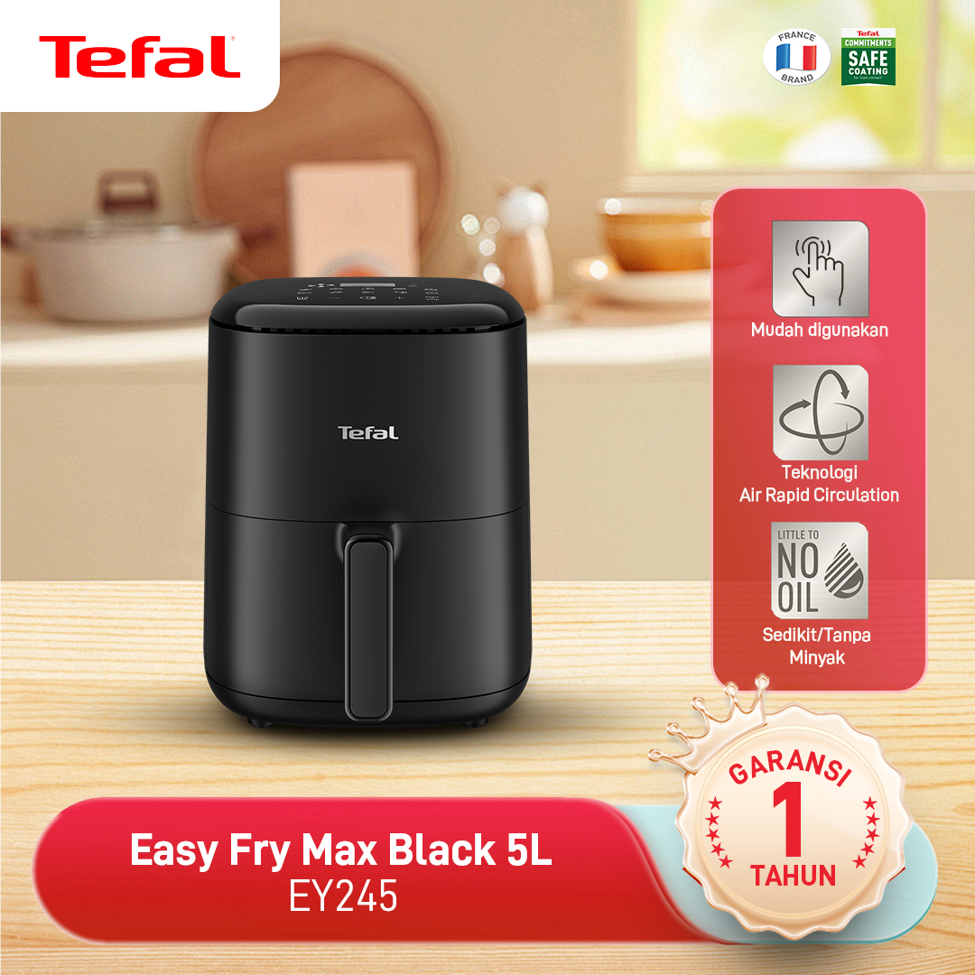 Air Fryer EY245 Black 5L