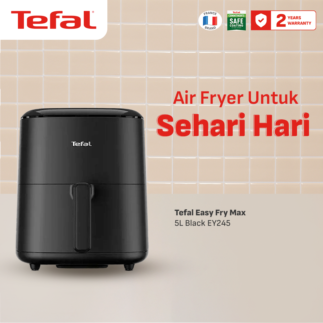 Air Fryer EY245 Black 5L