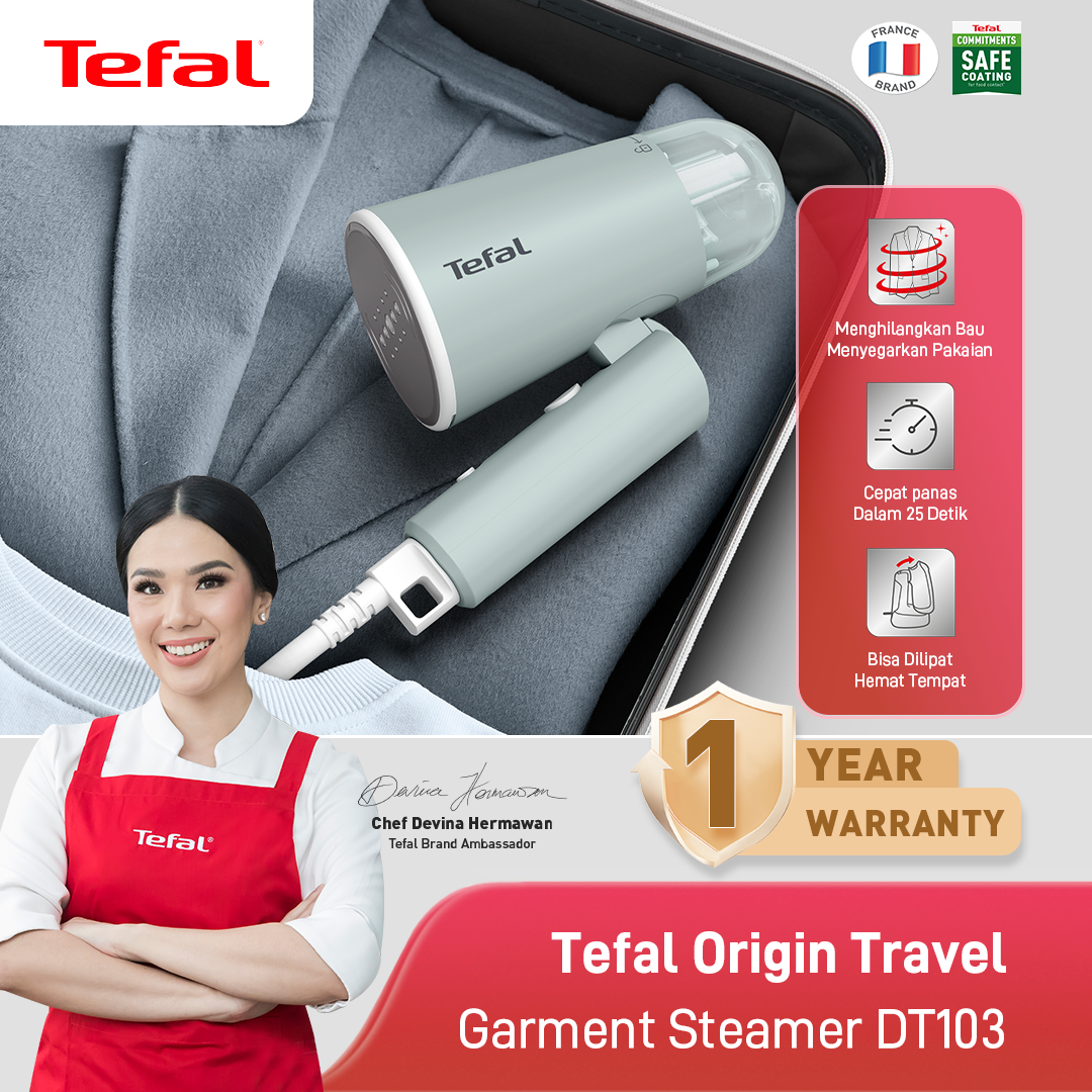 Setrika Uap Portable Garment Steamer DT103 / Cepat Panas & Ultra Compact